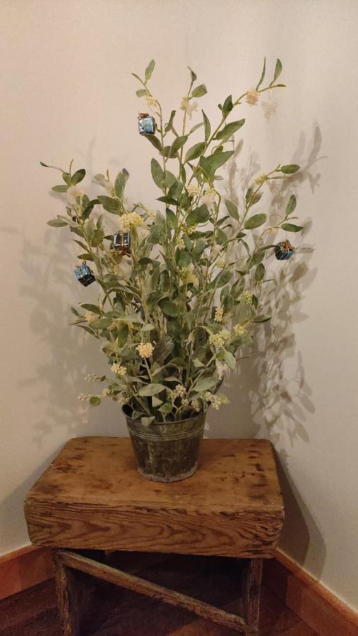 דירות ארנס דה סן פדרו La Casa De La Abuela Amalia מראה חיצוני תמונה